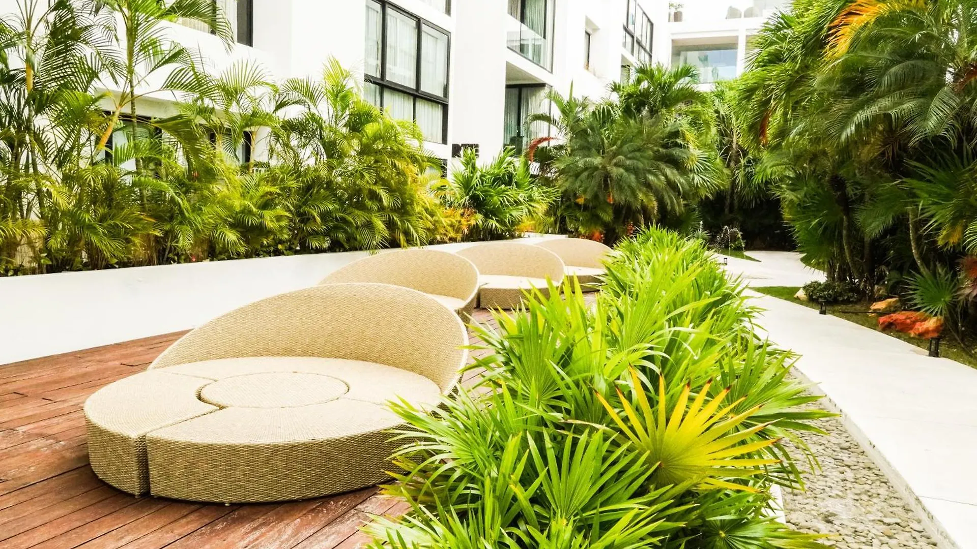 Penthouse Zona Centro Quinta Av 2Bd,2 Bt Apartment Playa del Carmen